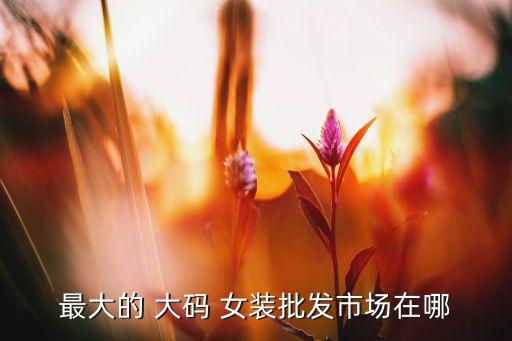 福州哪里可以買到大碼女裝...